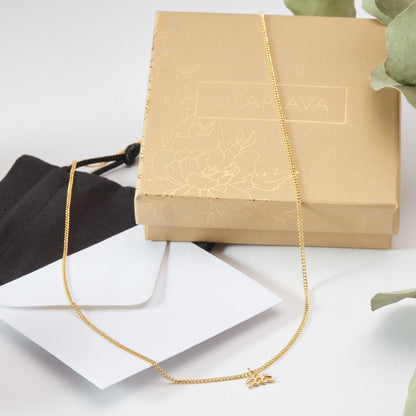 Aquarius  Zodiac Gift Necklace