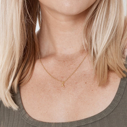 Aries Zodiac Gift Necklace