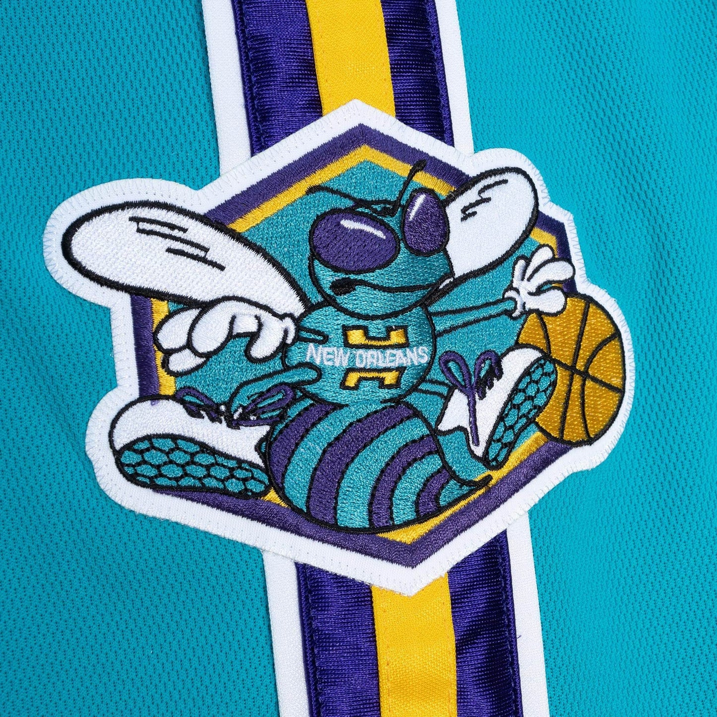 Mitchell & Ness NBA Authentic Shorts Charlotte Hornets 05
