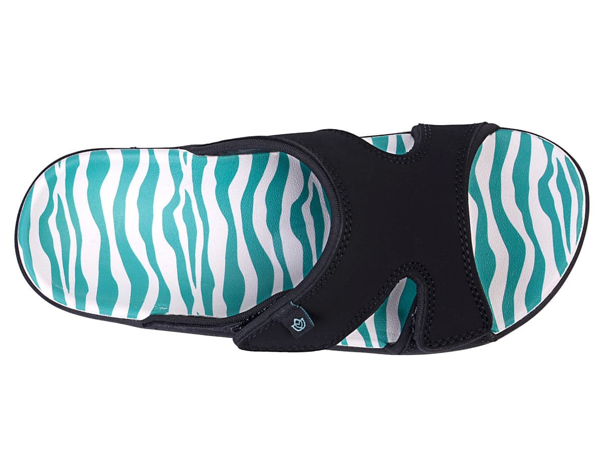 TEAL ZEBRA -