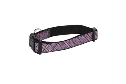 Purple -