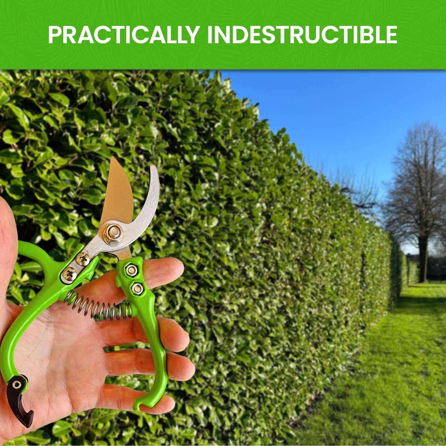 Multi-Colored-