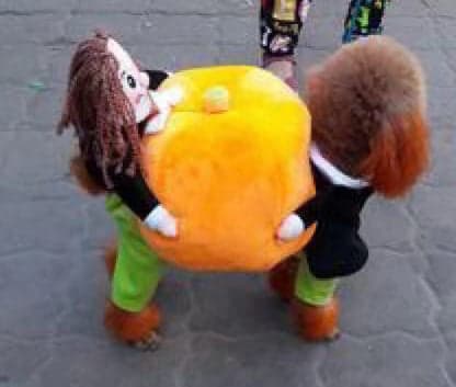 ORANGE-