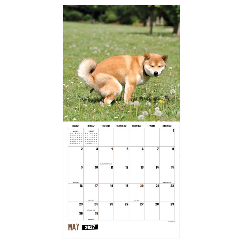 Multi-Color-
