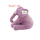 Purple1 with logo