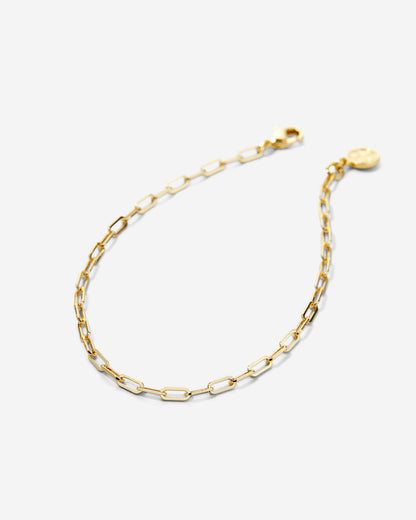 Connected Delicate Paperclip Chain Anklet