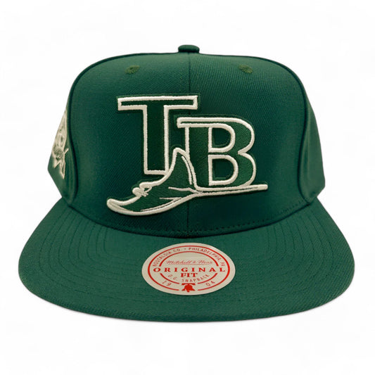 Mitchell & Ness Men's MLB Back To Basics Snapback Coop Rays Snapback Caps
