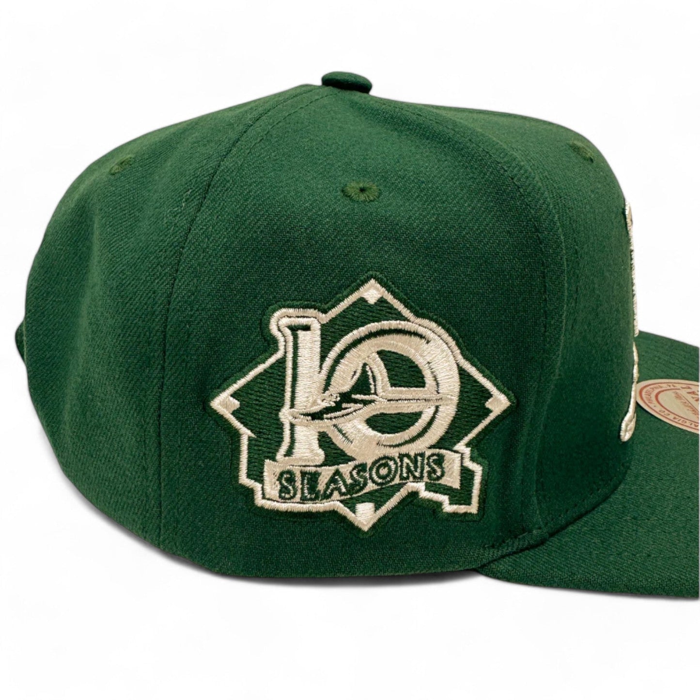 Men's Mitchell & Ness MLB Back To Basics Snapback Coop Rays - Green