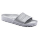 Metallic Silver