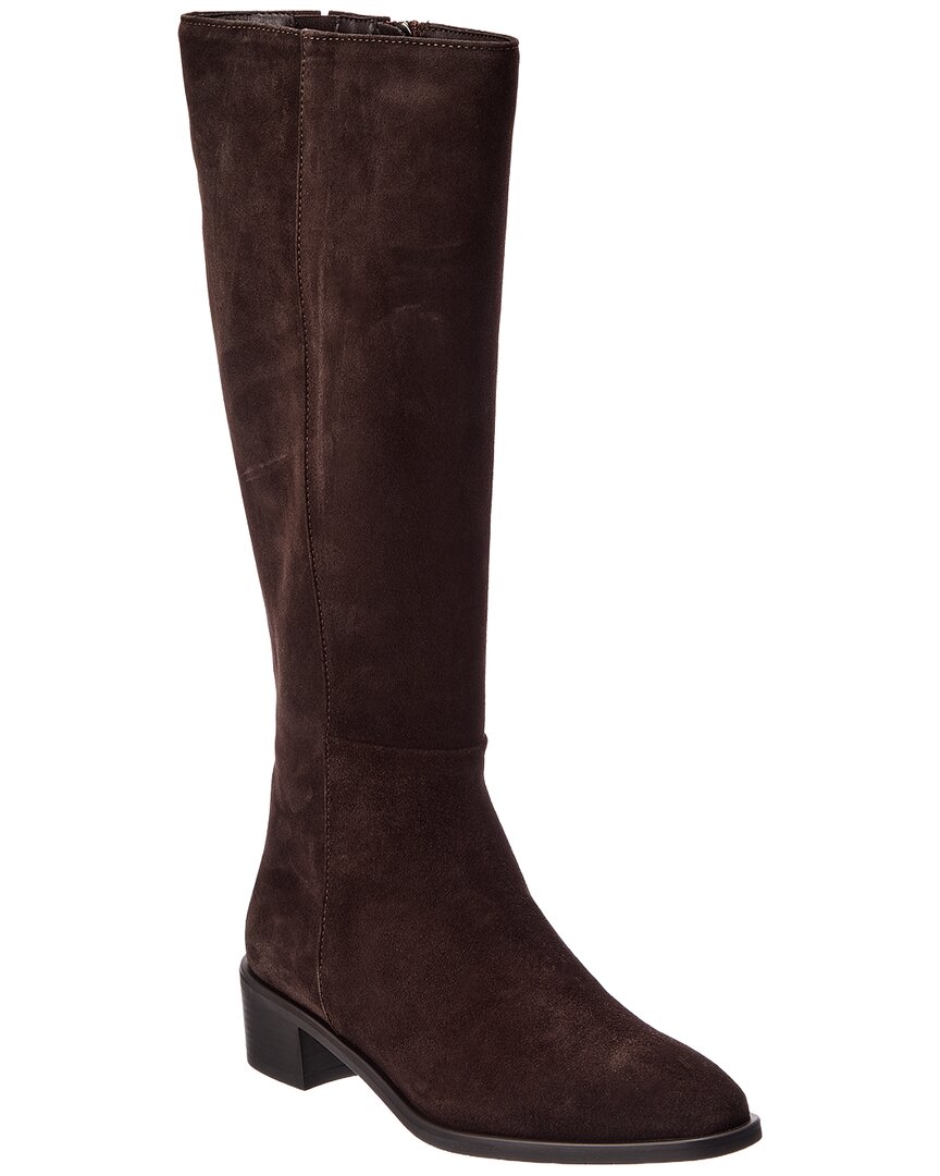 Espresso Suede-