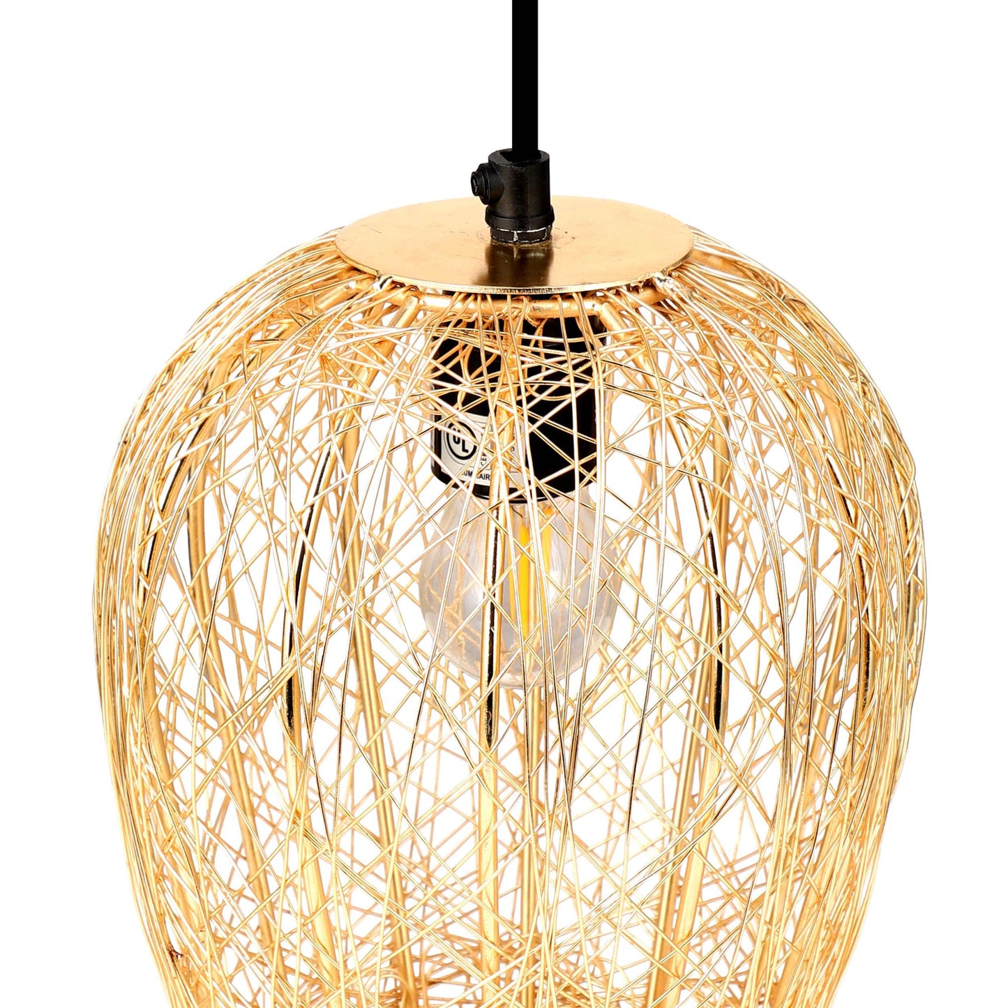 Gold/Black-