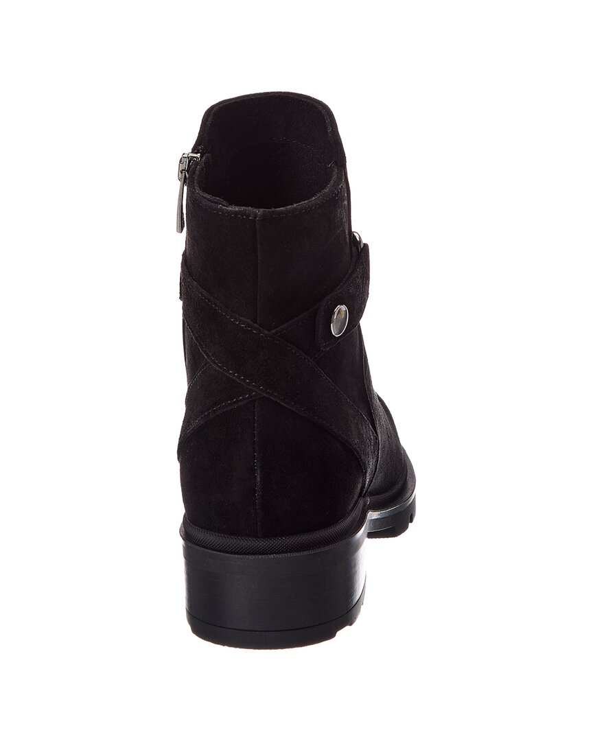 BLACK-
