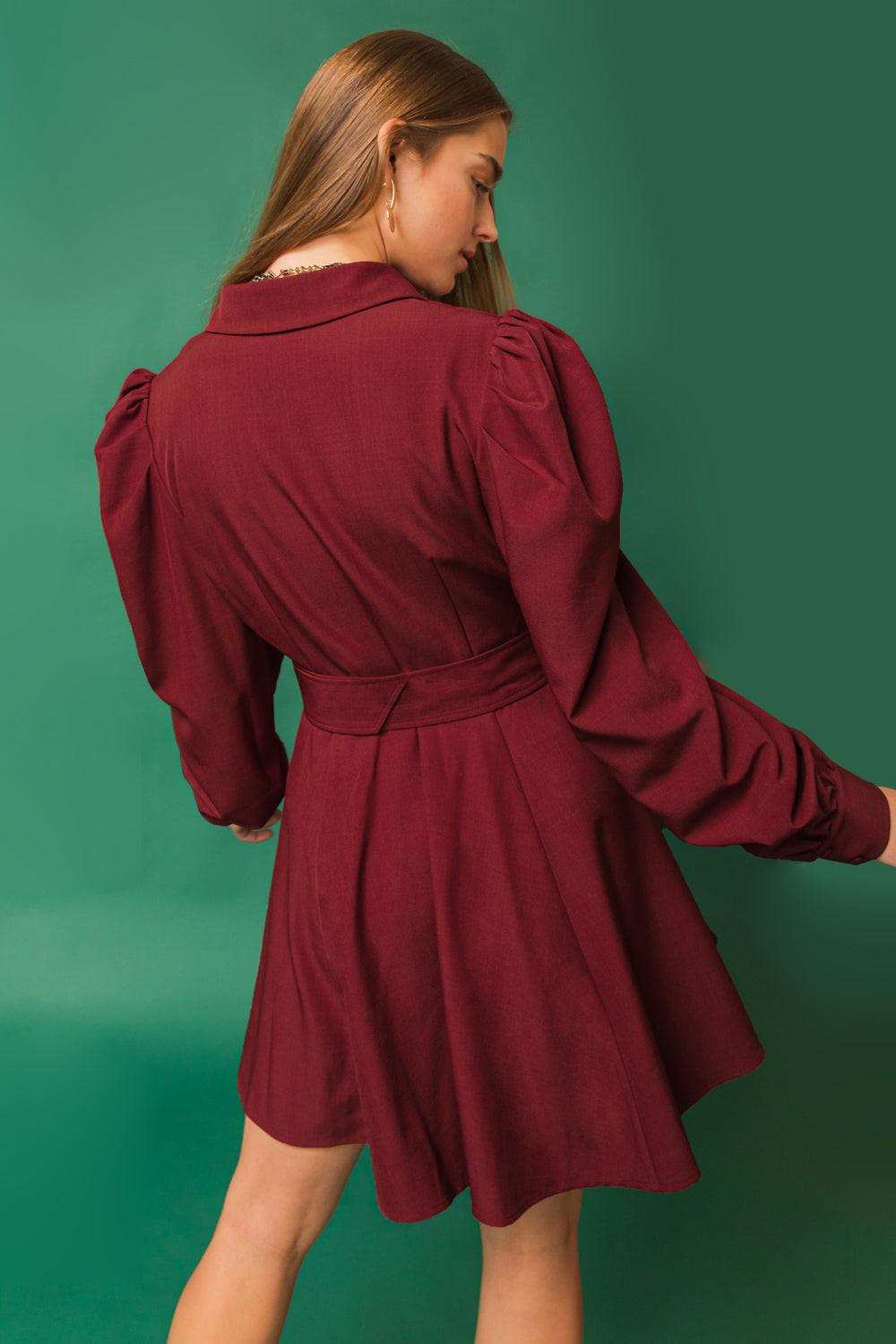 Wrapped up in Love Mini Dress