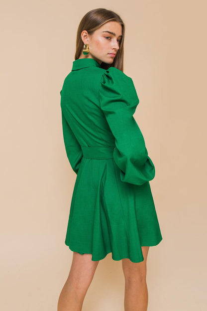 Wrapped up in Love Mini Dress