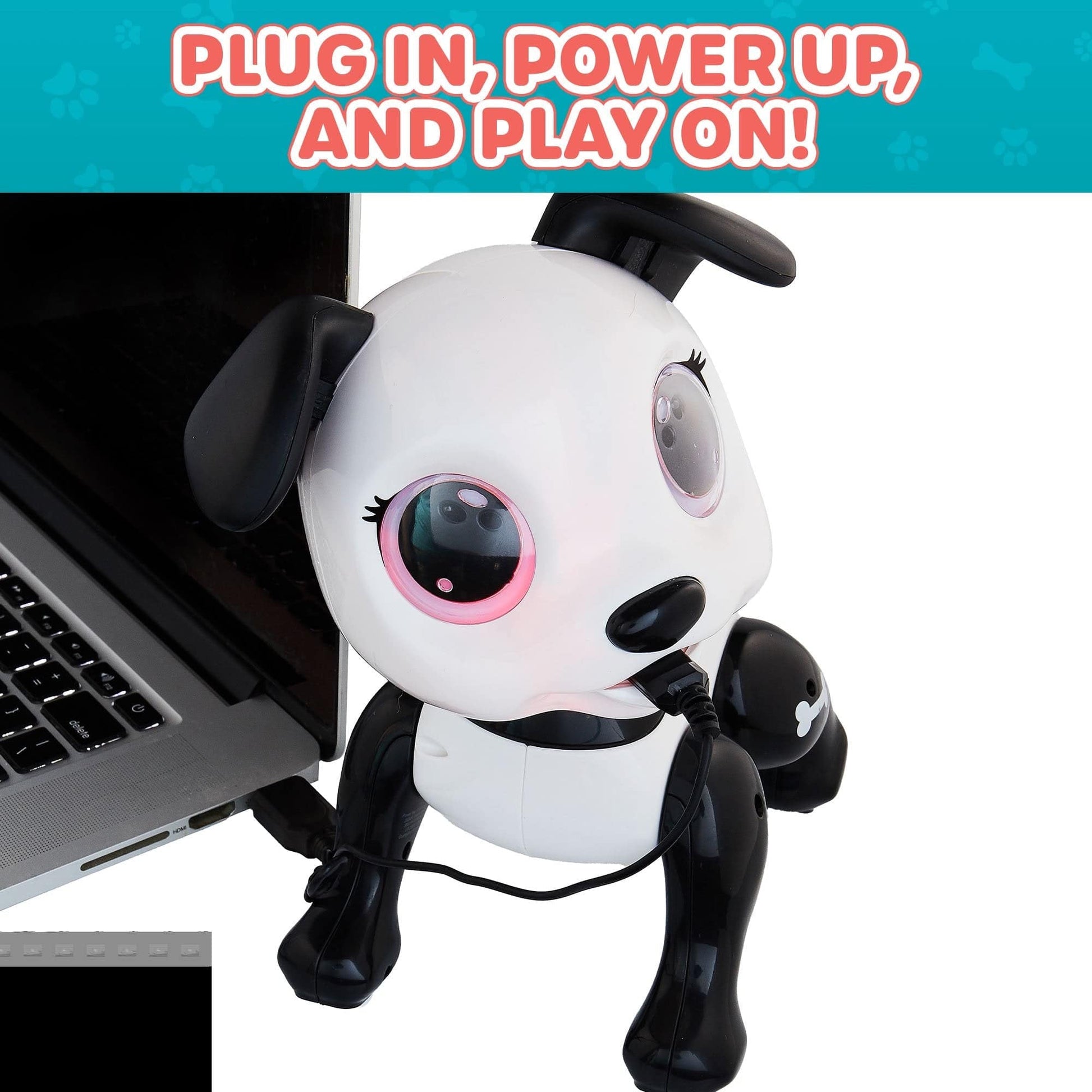 Black and white robot dog, white remoted, black, red, blue and gray food-