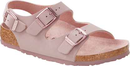 Lavander Blush-