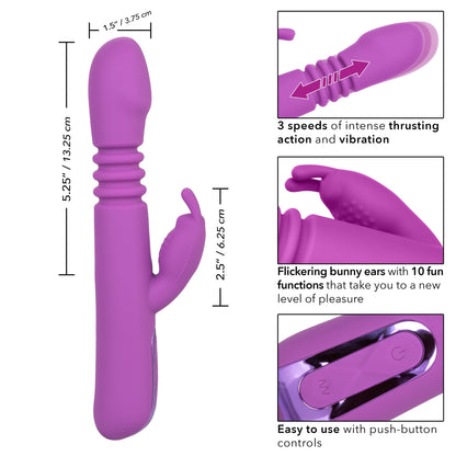 Purple-