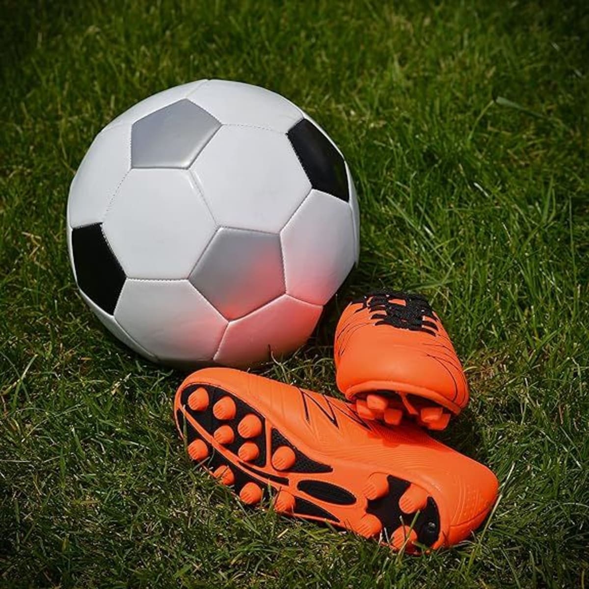 Orange Black-