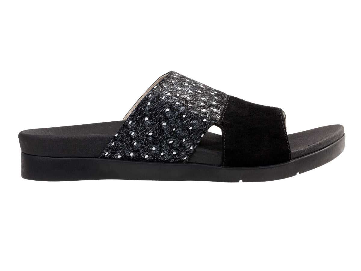 Black Ostrich -