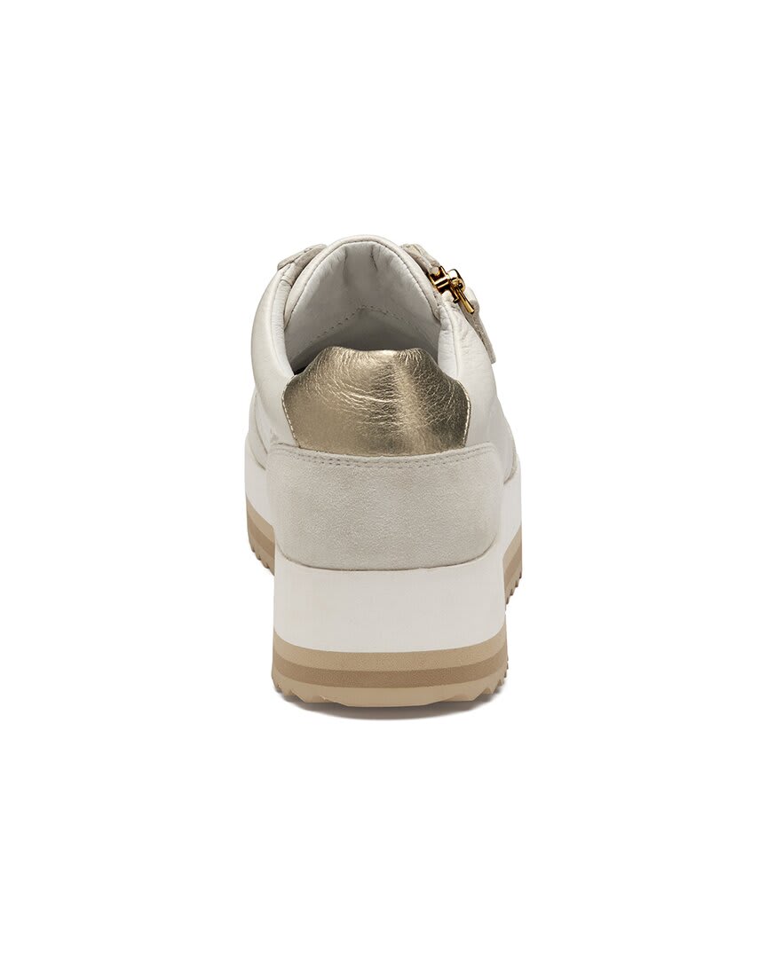 WHITE-