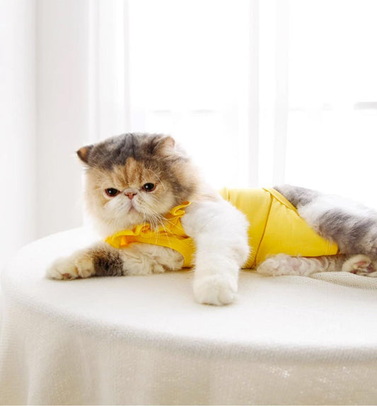 Yellow-