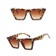 Brown Tortoise Shell