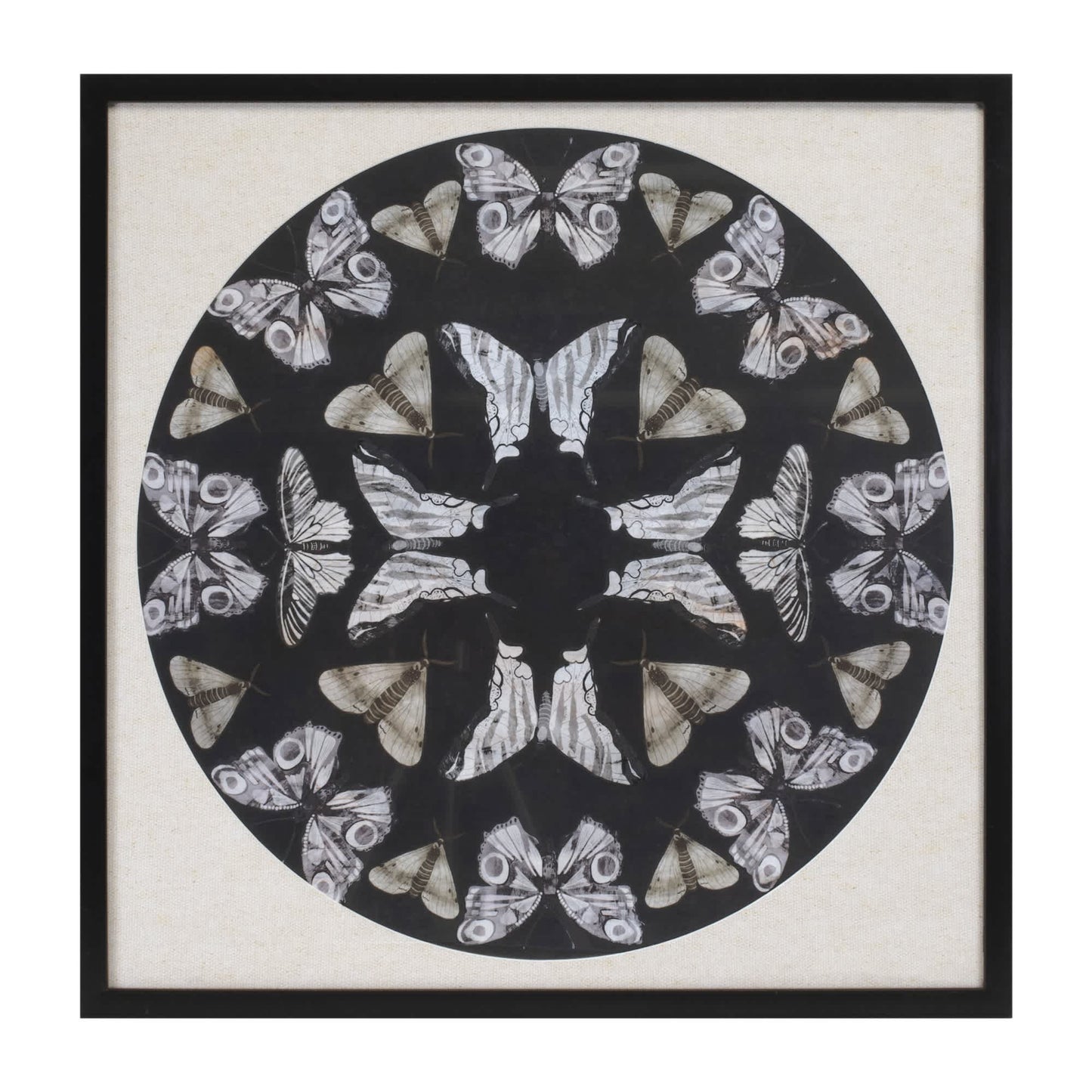 Melrose International Framed Butterfly Print 25"SQ