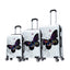 White Butterfly