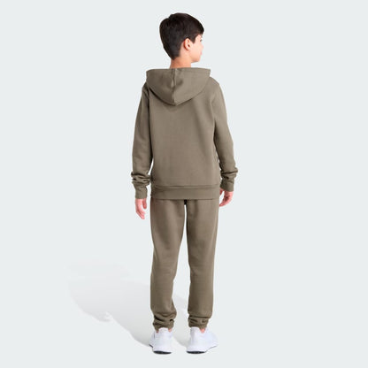 Olive-