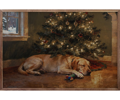 Kendrick Home Lab Under The Christmas Tree
