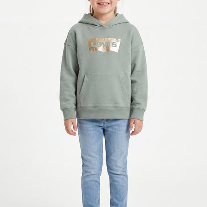 Muted sage green-