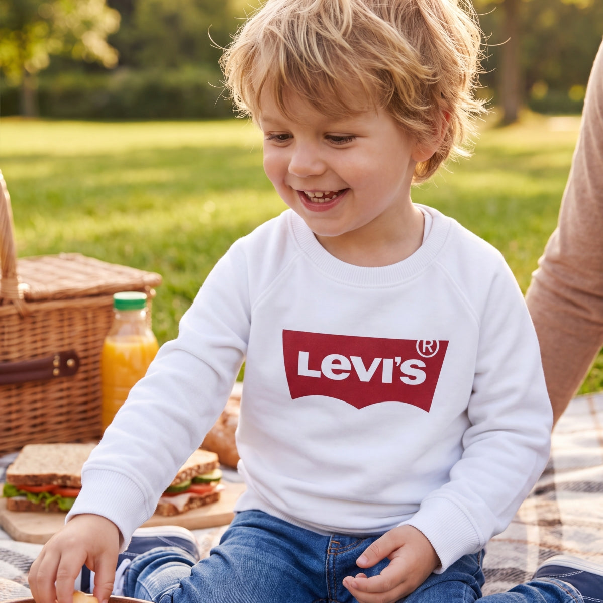 Levi's Toddler Boys' Key Item Logo Crew Sweatshirt, White, Size 3T