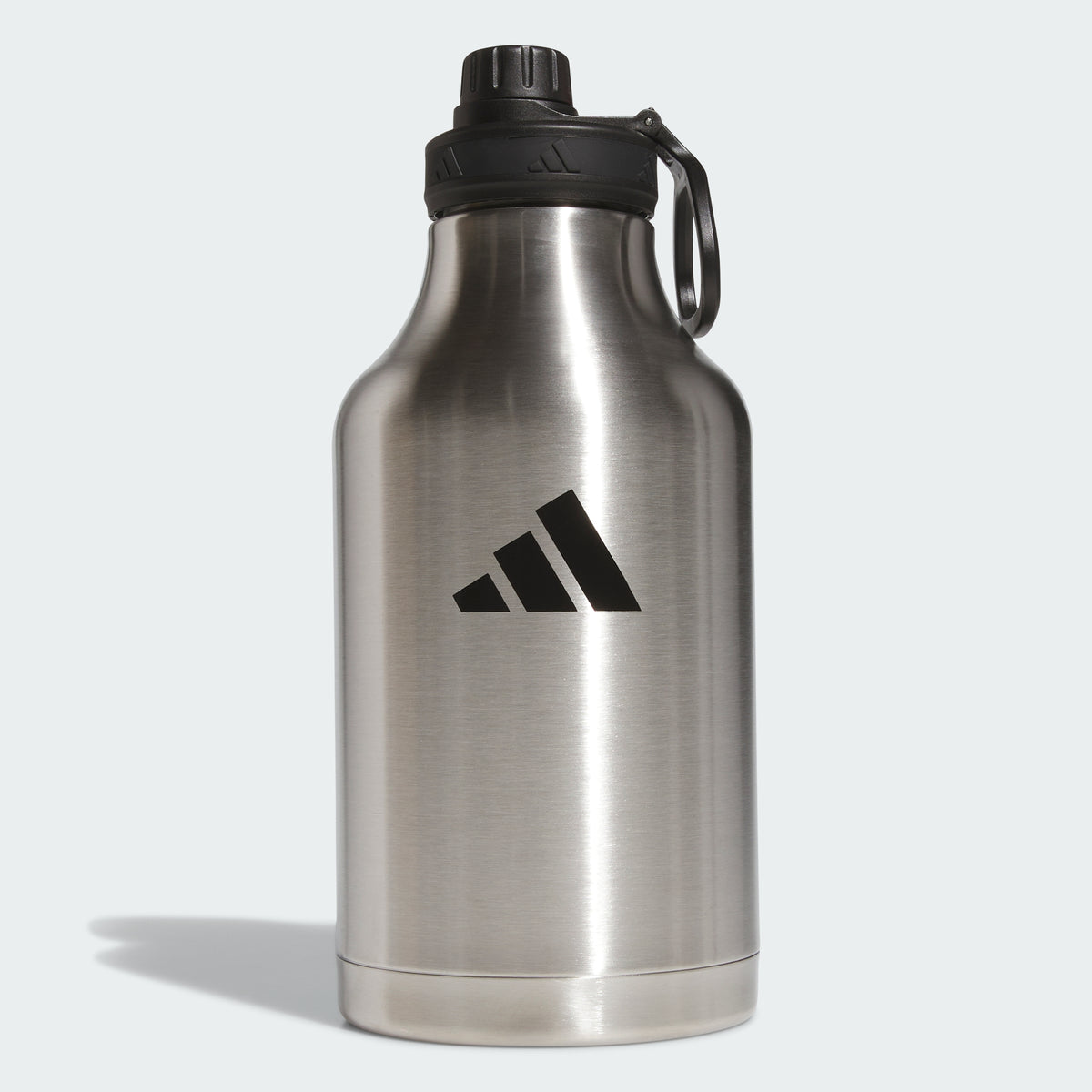 Silver Radiant / Black-
