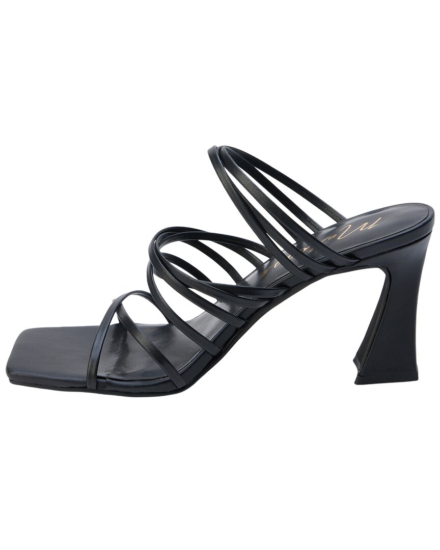 Black-