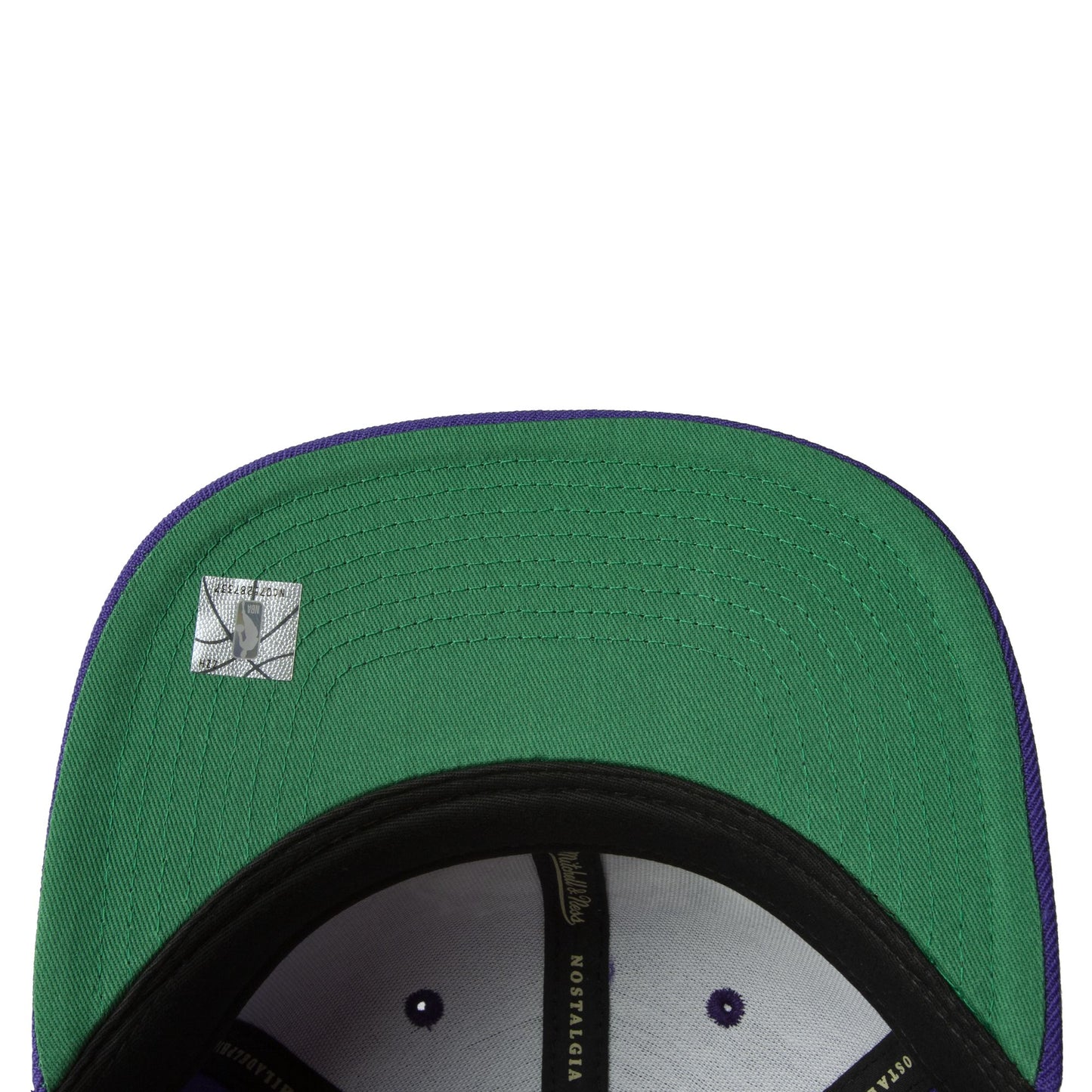Mitchell & Ness Men's NBA Team Ground 2.0 Fitted Hwc Raptors Fitted Caps