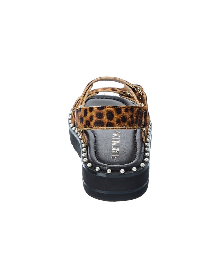 Q1R cheetahhaircalf-