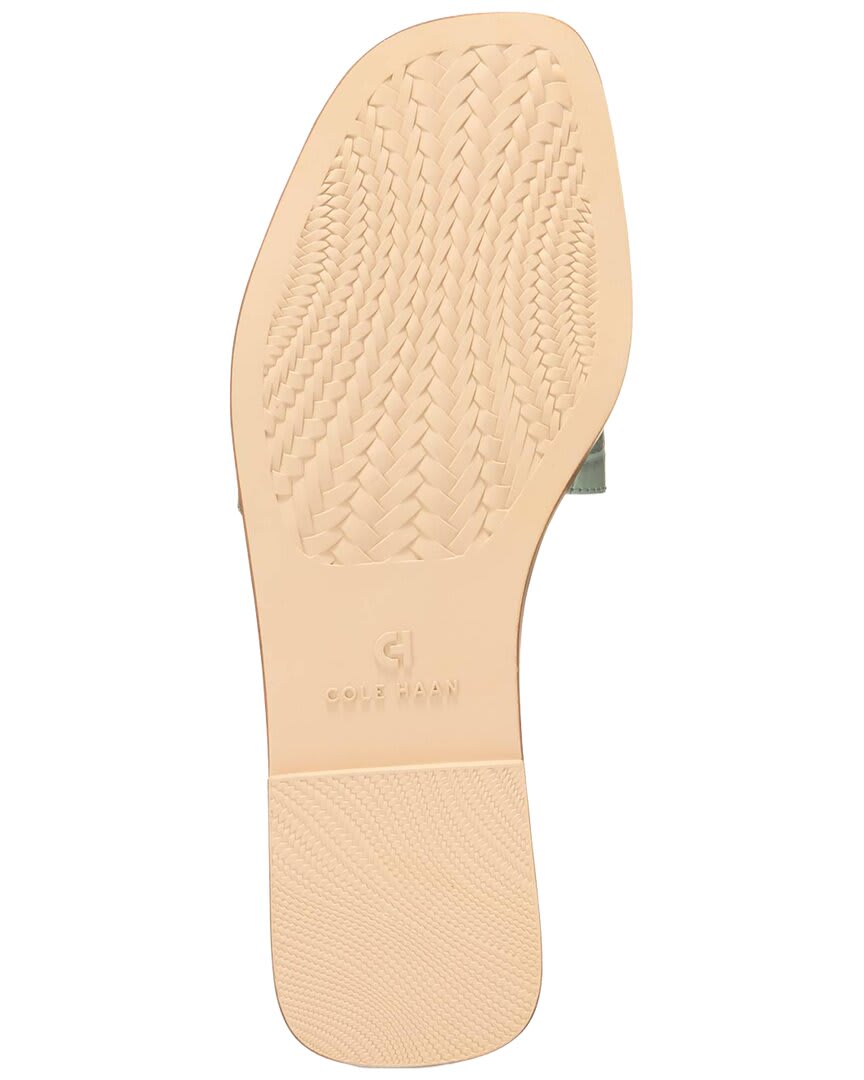 LILY PAD CROC PRNT-