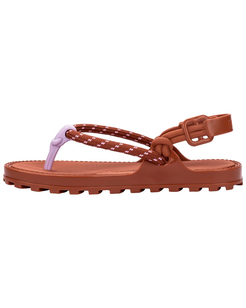 BROWN/LILAC-