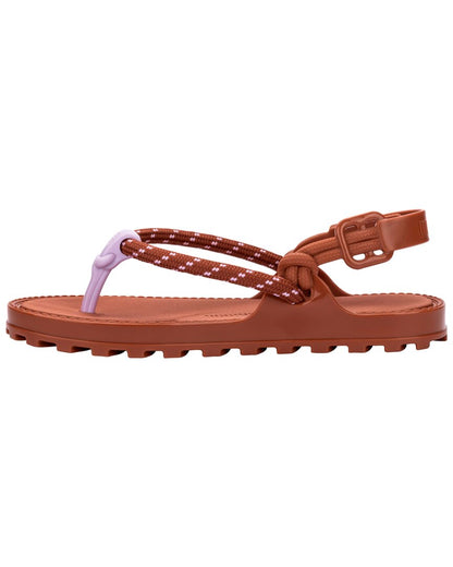 BROWN/LILAC-