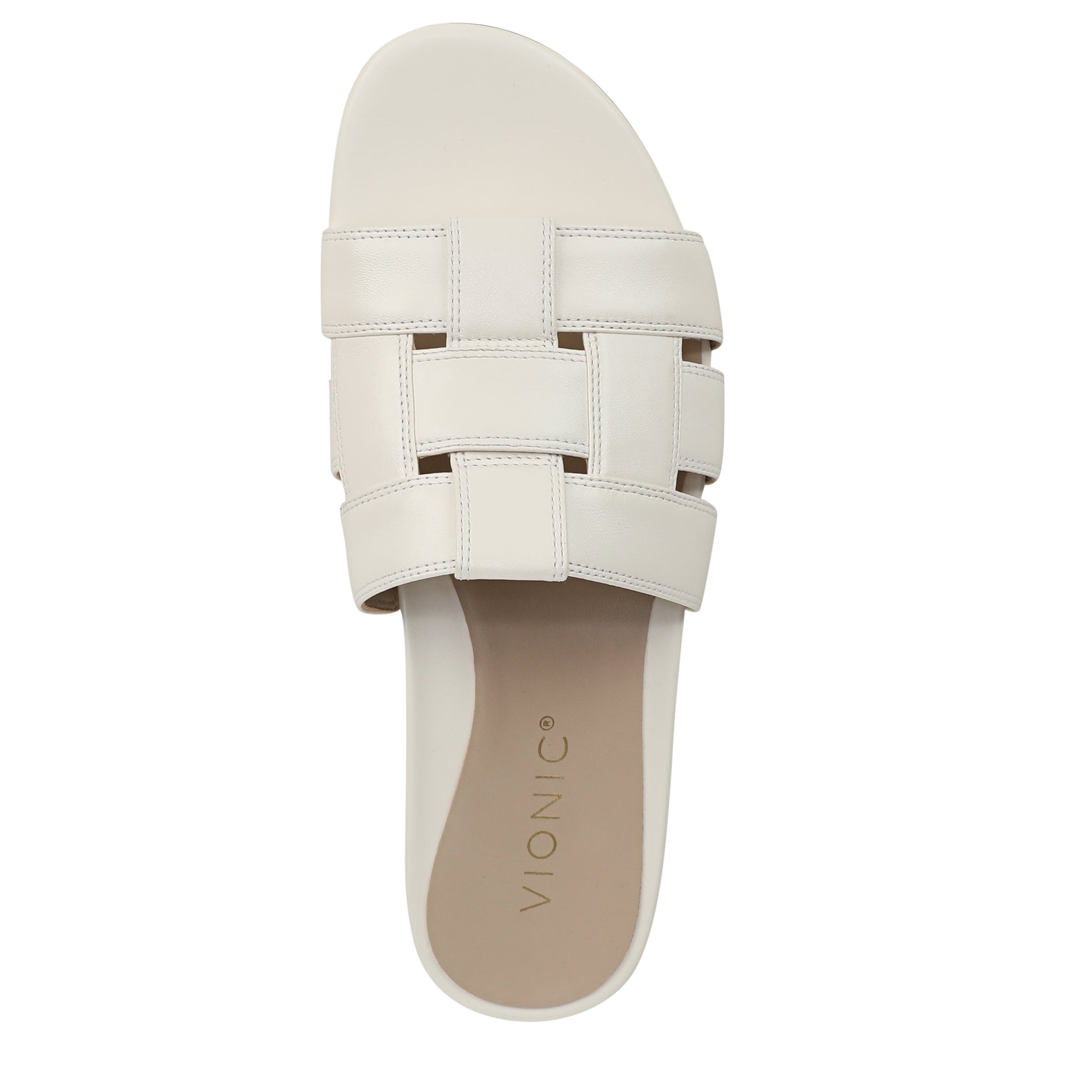 Ivory-