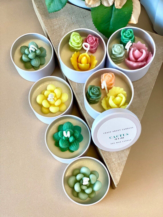 Cactus In A Jar Handmade Scented Candle – Unique Home Decor