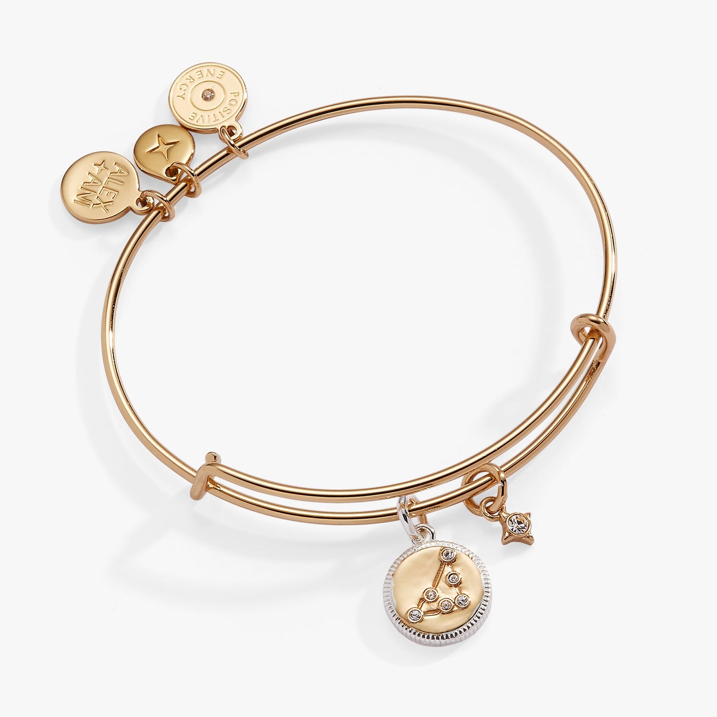 Capricorn Zodiac Charm Bangle