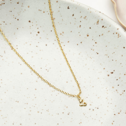 Capricorn Zodiac Gift Necklace