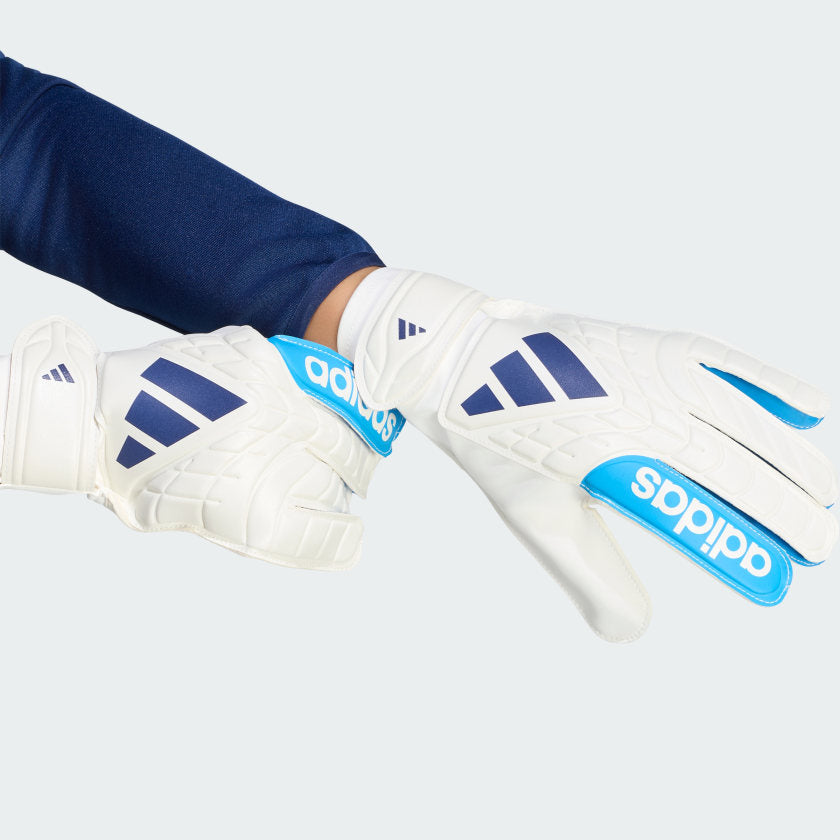 Zero Metalic / Lucid Ray Blue / Dark Blu-