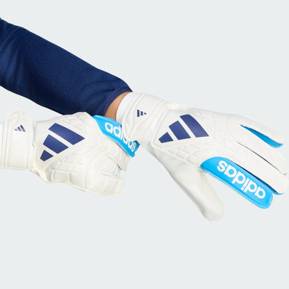 Zero Metalic / Lucid Ray Blue / Dark Blu-