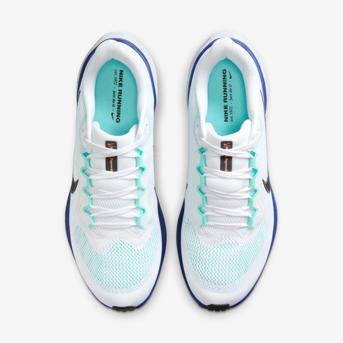 Men's Nike Air Zoom Pegasus 41 - Grape