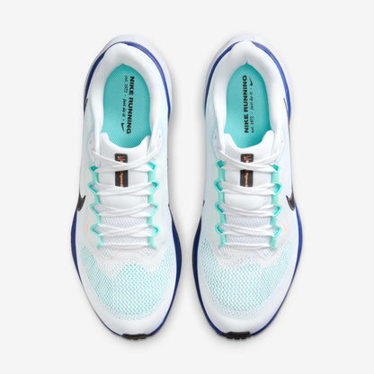 Men's Nike Air Zoom Pegasus 41 - Grape
