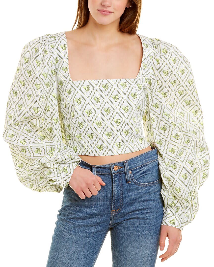 WHDPA-WHITE DIAMOND PALM-