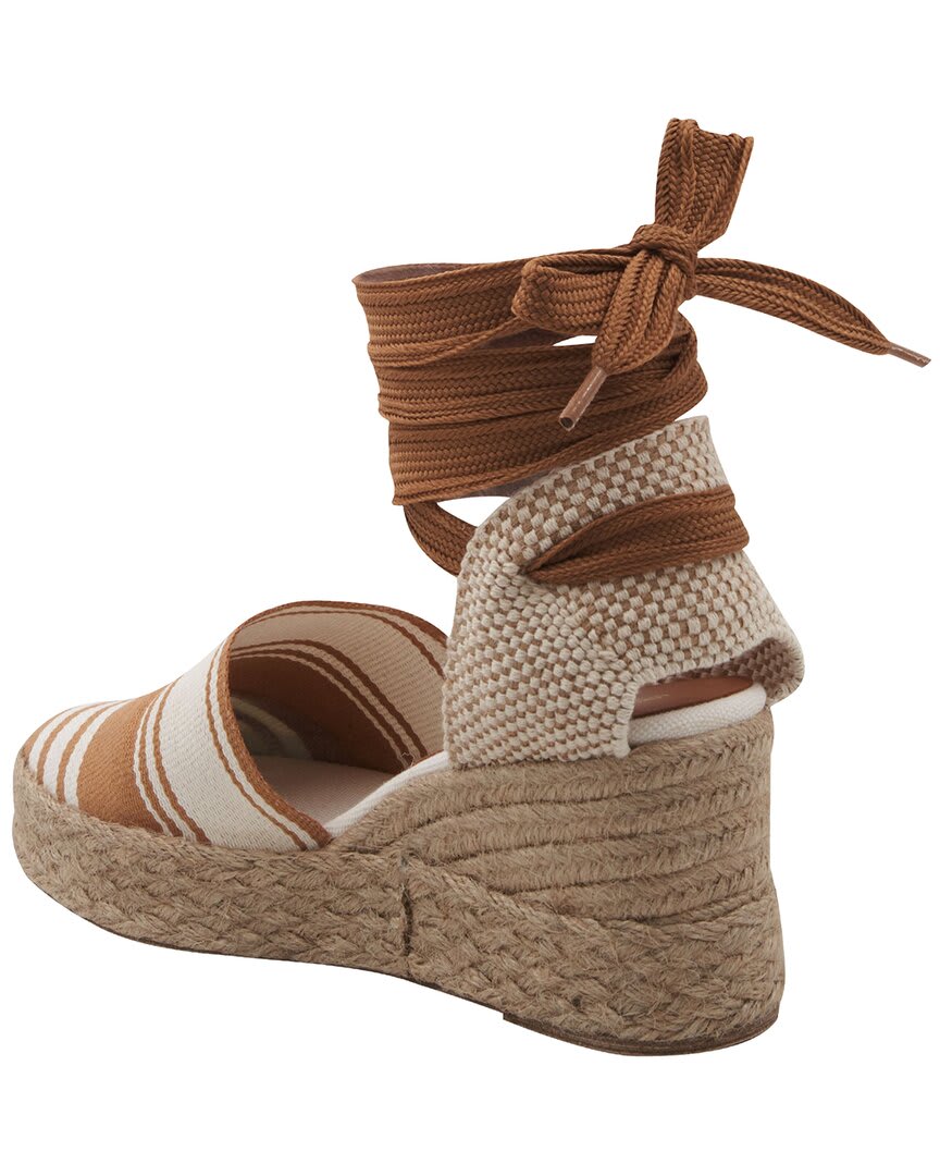 CAMEL MULTI-