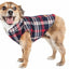 Black And Red Plaid